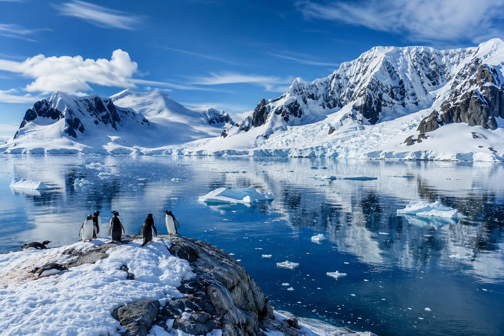 Antarctica Expedition